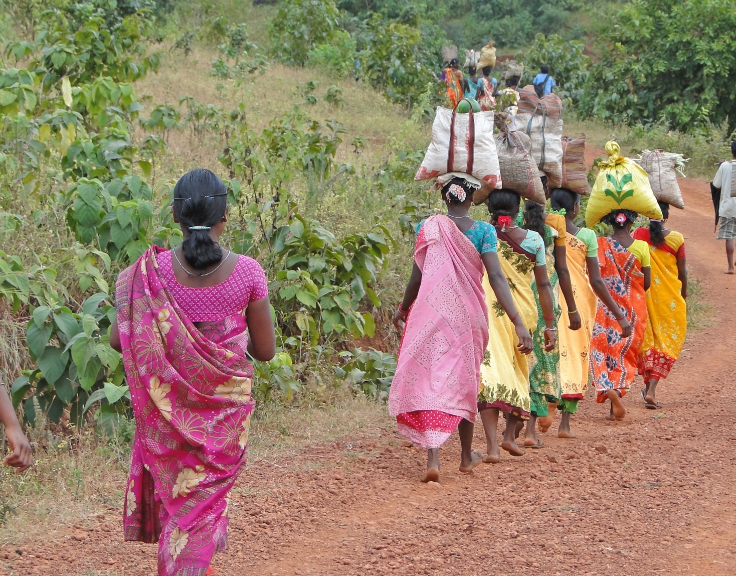 A group of Indian girls dressed in Indiain attire walking down a dirt path with bags of stuff balanced on their heads